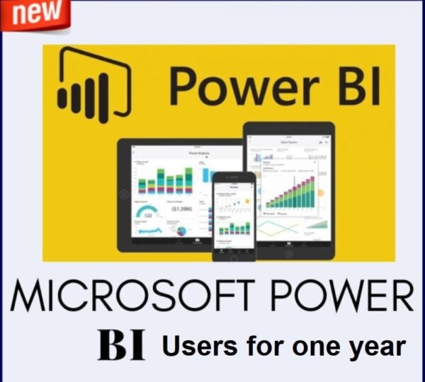 مستخدمين Power BI مدة سنة