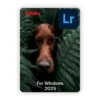 Lightroom25W 100x100